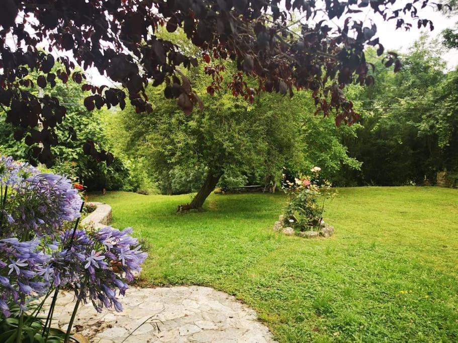 La Flor De Toranzo "Vive Los Valles Pasiegos" Prases Extérieur photo